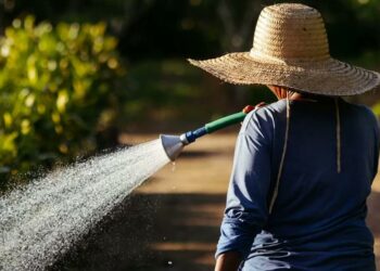 Débil regulación y malas políticas agravan la escasez de agua en el mundo