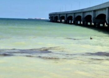 Fuga en ducto de Pemex en Yucatán: sellan derrame en Progreso sin daños en playas