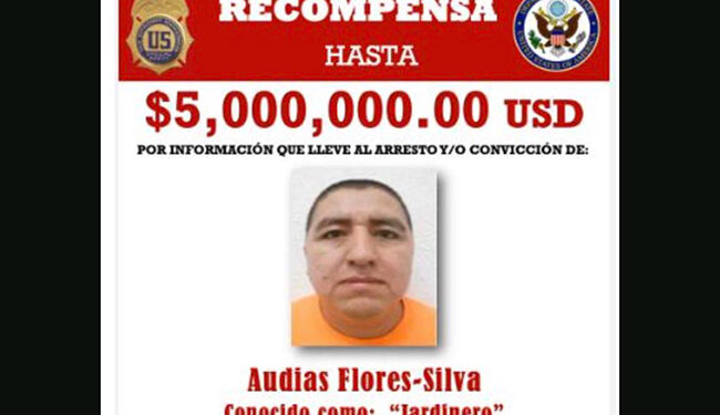 Detienen en Nayarit a “El Jardinero”, figura clave del CJNG con orden de extradición