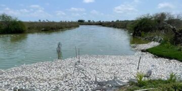 SCJN valida protección del Lago de Texcoco y rechaza amparos de ejidatarios