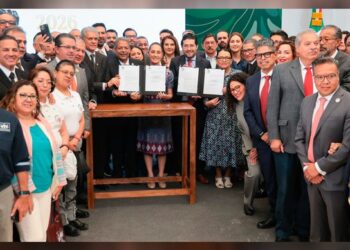 Certificado laboral agrícola: nueva regla para exportar con derechos garantizados