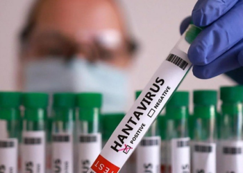 OMS descarta riesgo masivo por brote de hantavirus en crucero; mantienen vigilancia internacional