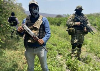 La delincuencia organizada supera a las guerras en homicidios anuales, advierte la ONU