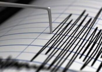 Temblor de magnitud 5.2 con epicentro en Ometepec se percibe en la Ciudad de México