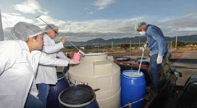 Leche para el Bienestar restablece el acopio en Veracruz tras regularizar a productores