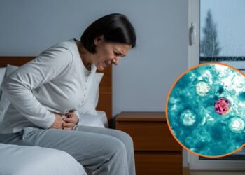 Alerta de viaje a Estados Unidos: Secretaría de Salud advierte por brote de ciclosporiasis