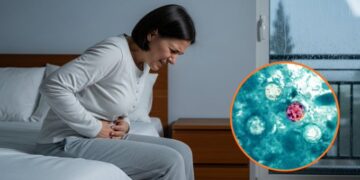 Alerta de viaje a Estados Unidos: Secretaría de Salud advierte por brote de ciclosporiasis