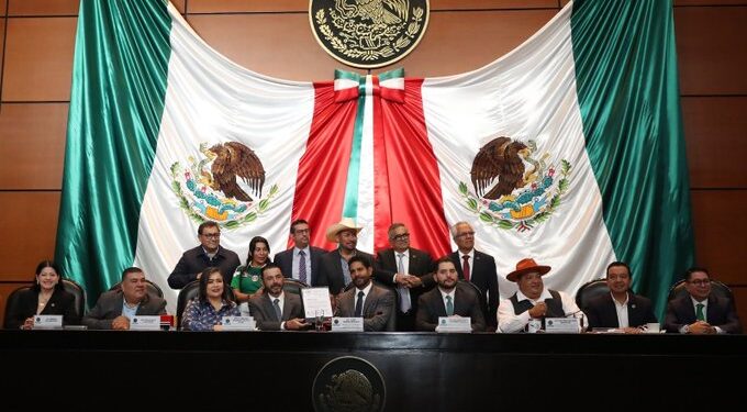 Sheinbaum revisará observaciones de la ASF y aclara que las irregularidades no corresponden al primer año completo de su gobierno