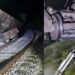 Nuevo accidente del Tren Interoceánico ocurre en un tramo con antecedentes de descarrilamientos
