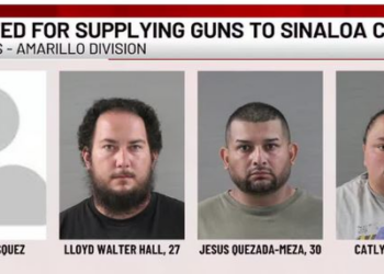 EU acusa a cuatro presuntos integrantes de una red de tráfico de armas ligada al Cártel de Sinaloa