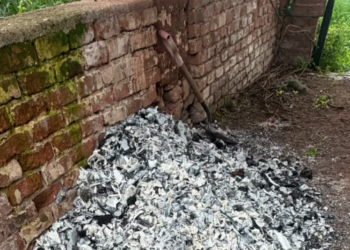 Madres Buscadoras encuentran presunto crematorio clandestino en Ayutla y piden apoyo inmediato