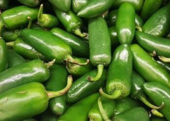 Autoridades de EU emiten alerta sanitaria por jalapeños mexicanos vinculados a salmonela