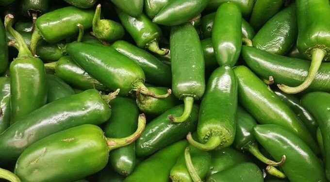 Autoridades de EU emiten alerta sanitaria por jalapeños mexicanos vinculados a salmonela
