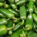 Autoridades de EU emiten alerta sanitaria por jalapeños mexicanos vinculados a salmonela