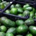Industria aguacatera enfrenta suspensión temporal de exportaciones por alerta de seguridad en Michoacán