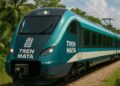 Tren Maya: adjudican directamente seguro contra terrorismo y sabotaje por 715 mdp