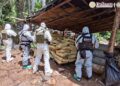 Cuatro laboratorios clandestinos son desmantelados tras operativo en Michoacán y Guerrero