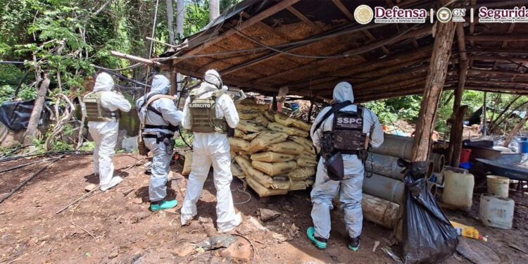 Cuatro laboratorios clandestinos son desmantelados tras operativo en Michoacán y Guerrero