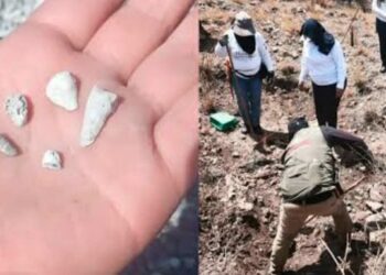 Zacapu bajo investigación tras reporte de mil 600 dientes de leche hallados en un predio