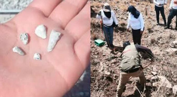 Zacapu bajo investigación tras reporte de mil 600 dientes de leche hallados en un predio