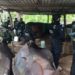 Golpe a la producción de metanfetamina: desmantelan tres laboratorios en Guerrero