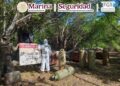 Semar desmantela laboratorio clandestino y asegura precursores químicos en Sinaloa