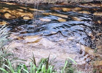 Derrame de hidrocarburo en Veracruz afecta ocho kilómetros del río Chacalapa