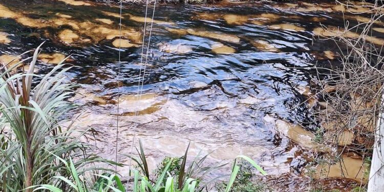 Derrame de hidrocarburo en Veracruz afecta ocho kilómetros del río Chacalapa