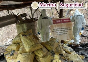Incautan droga y miles de litros de precursores químicos en la sierra de Durango