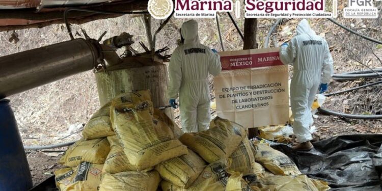 Incautan droga y miles de litros de precursores químicos en la sierra de Durango