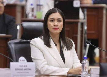 Blanca Cruz llega a la presidencia provisional del INE en medio de cuestionamientos