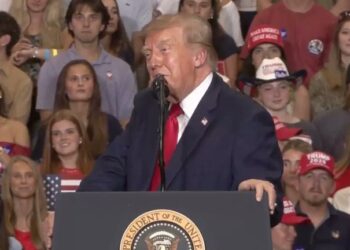 Trump vuelve a hablar de Sheinbaum y su trayectoria antes de llegar a la Presidencia