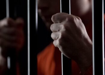 EU investiga a presuntas redes ligadas al Cártel de Sinaloa por narcotráfico y robo a trenes.